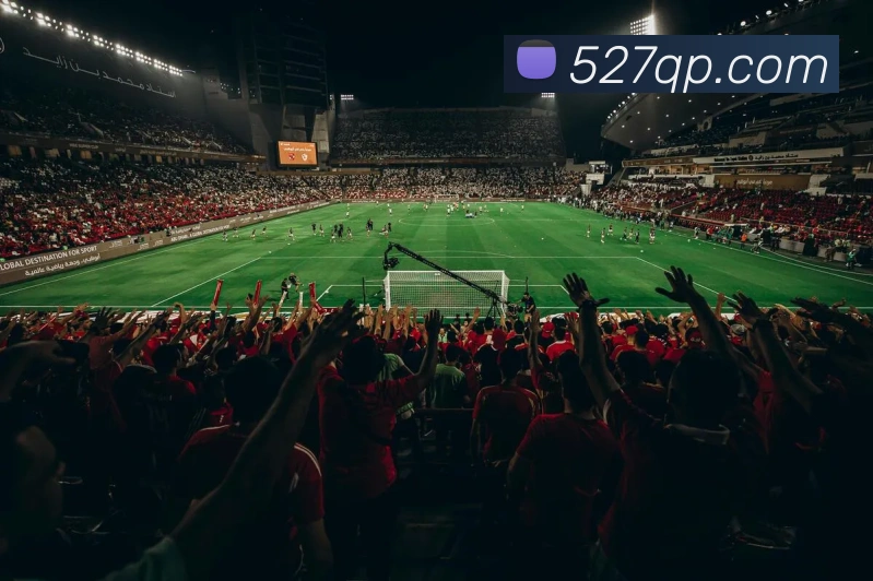 奖项图2